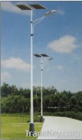 Solar street lights-502