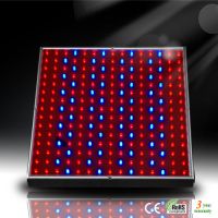 https://fr.tradekey.com/product_view/14w-Led-Grow-Light-1812433.html