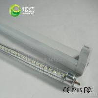 Transparent Tube Lights T8