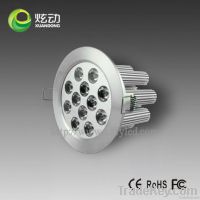 Professional LED Ceiling Lamps