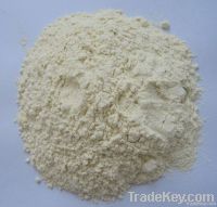 onion powder