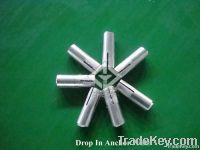 drop in anchor(anchor fixing system)