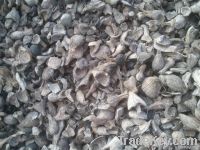 Palm Kernel Shell