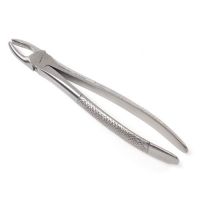 Dental Extracting Forceps Children Pattern Dental Instruments