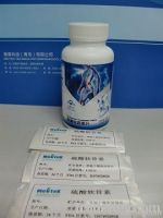 Glucosamine Chondroitin Tablets