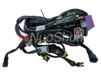 car ecu wire harness(wire250)