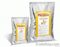 Phytocee - Replacer for Synthetic Vitamin C