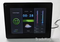 8" Weather Station Digital Photo Frame With Light Sensor Optional MP3