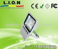 LED floodlight/LED tunnel light