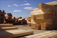 Sawn Timber/ Lumber