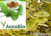 ginkgo biloba extract