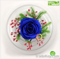 Wholesale Yunnan Preserved Flower Gift