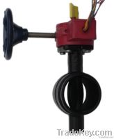 FM Approved Butterfly Valve-300PSI-Grooved-End