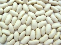 white kidney beans