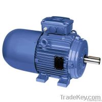 Brake Motor