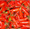 Fresh Birds Eye Chilli