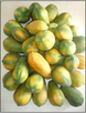 https://fr.tradekey.com/product_view/Fresh-Papaya-6485653.html