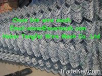 Galvanized chain link wire mesh