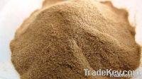 Noni Extract Powder