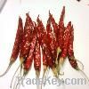 334  dry red chilly