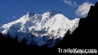 Tour To Fairy Meadows