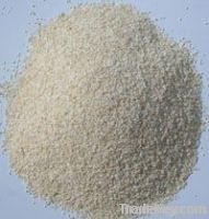 CHINA DRIED garlic granule 26-40