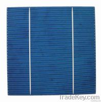 17% efficiency polycrystalline solar cell