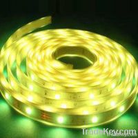 12V Magic LED Strip Light with 120 Beam Angle, Measures 5, 000 x 10mm