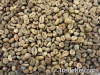 https://www.tradekey.com/product_view/Export-Green-Coffee-Beans-Green-Coffee-Bean-Importer-Green-Coffee-Beans-Buyer-Buy-Green-Coffee-Beans-Green-Coffee-Bean-Wholesaler-Green-Coffee-Bean-Manufacturer-Best-Green-Coffee-Bean-Exporter-Low-Price-Green-Coffee-Beans-Best-Quality-Gre-1904165.html