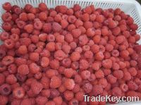 strawberry, lingonberry, raspberry, Apricot halves