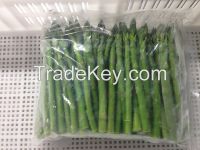 IQF Green asparagus
