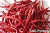 DRY RED CHILLI