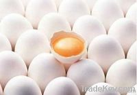 Egg Yolk Lecithin