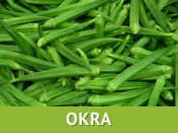 OKRA