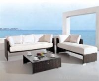 Resin wicker sofa set NS-002-2T