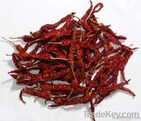 Byedgi try red chilli