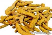 turmeric finger