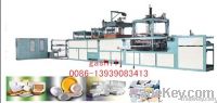 PS Fast food box Equipment