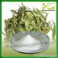 stevia leaf extract steviol glycoside stevioside rebaudioside A