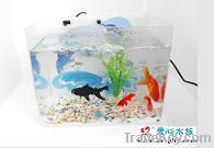Mini fish tank