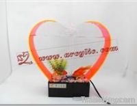 Heart-shaped fish tank