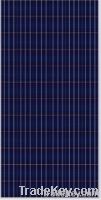 Poly Solar Module (SP660 210W-250W)