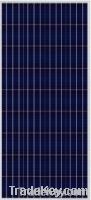 Poly Solar Module (SP672 250W-300W)