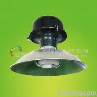 electrodeless induction lamp-Highbay lamp