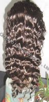 Top quality human hair full lace wig all hand tied