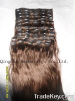 Best Human Hair -22"-- CLIP-ON HAIR EXTENSION - Accept Paypal