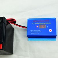 12V 24V 36V 48V 60V 72V battery rejuvenator