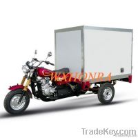Container Box Cargo Tricycle
