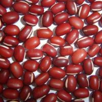 Red Bean