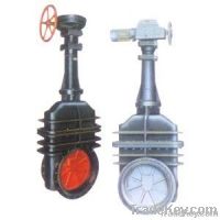 Two Gates valve